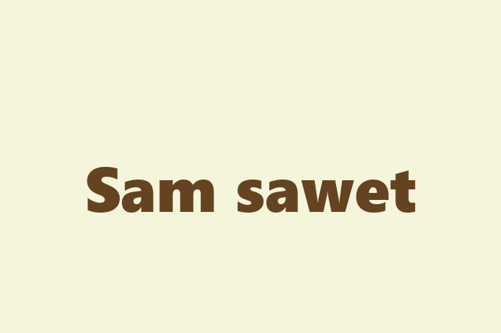 Sam sawet for Sale in Trowbridge