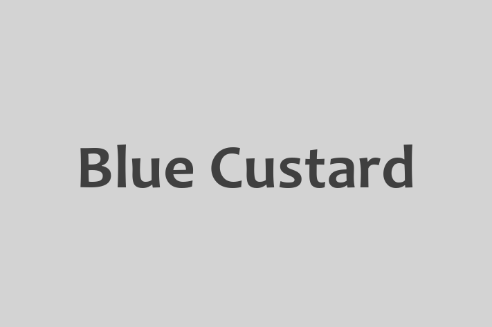 Blue Custard