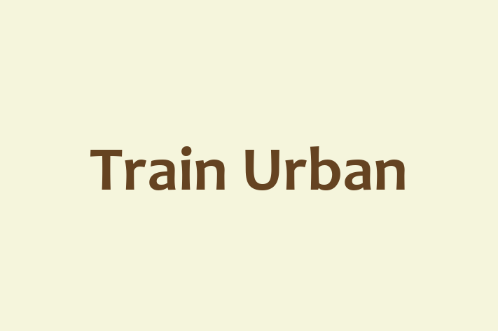 Train Urban