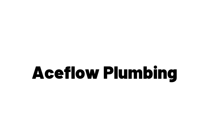 Aceflow Plumbing