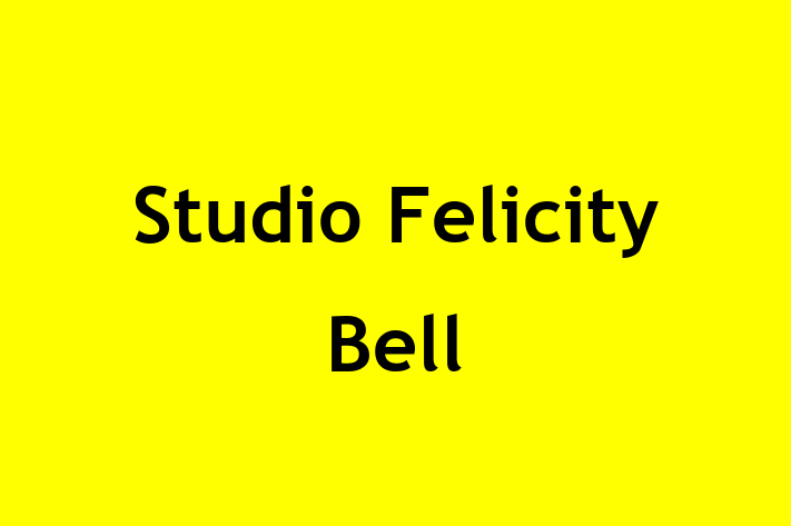 Studio Felicity Bell