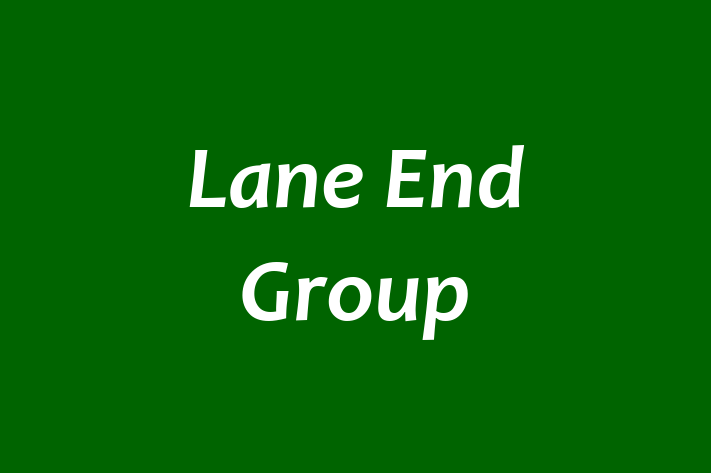 Lane End Group