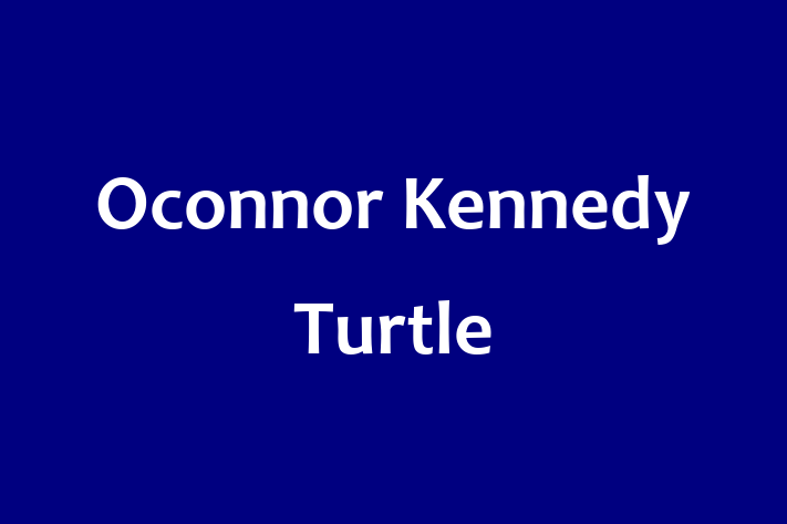 Oconnor Kennedy Turtle