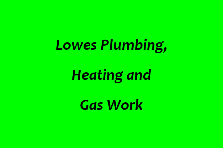 Lowes Plumbing, Heating and Gas Work