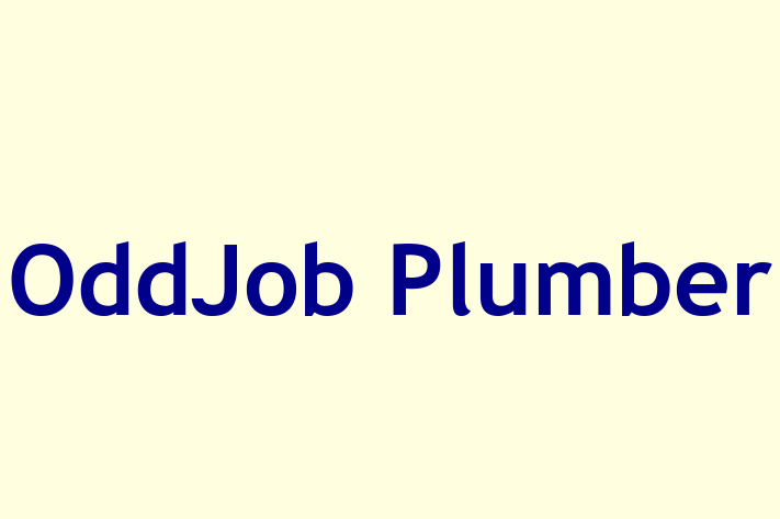 OddJob Plumber