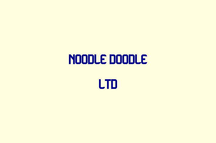 Noodle Doodle Ltd