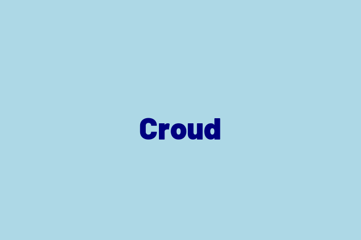 Croud