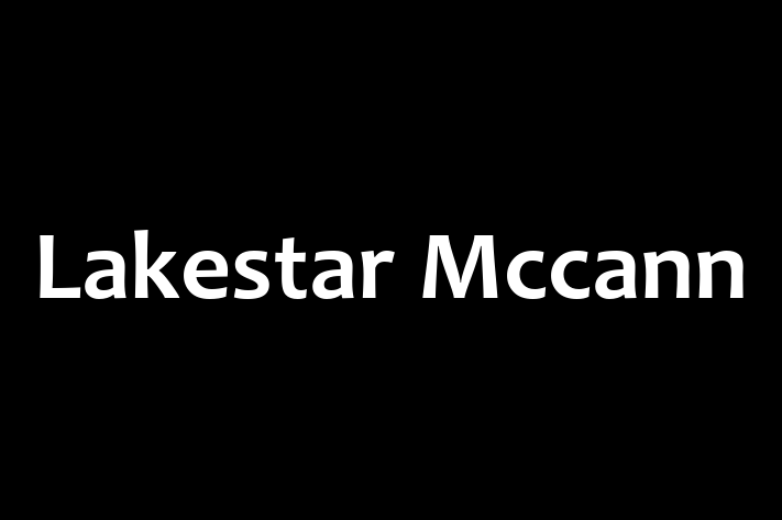 Lakestar Mccann