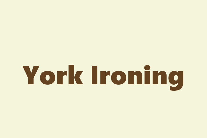 York Ironing