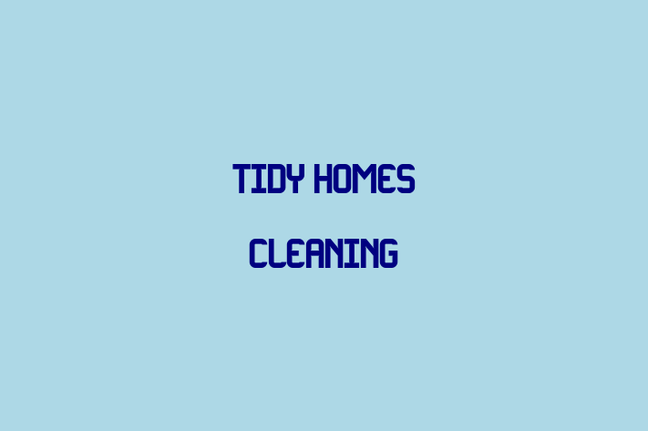 Tidy Homes cleaning