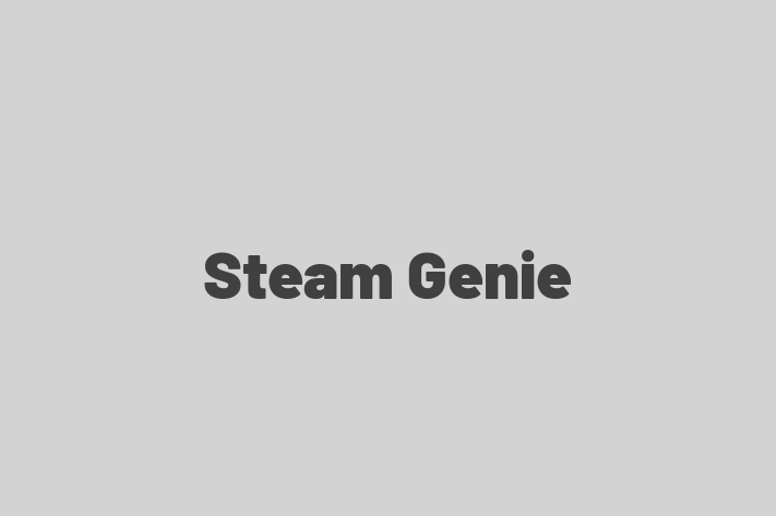 Steam Genie