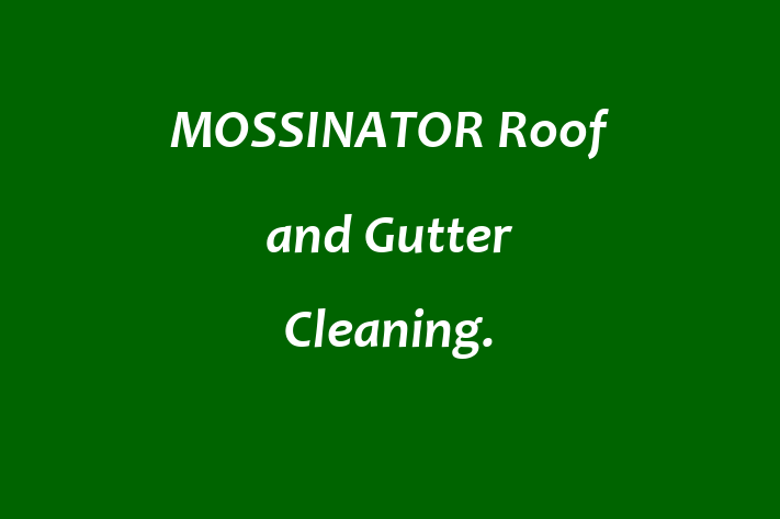 MOSSINATOR Roof and Gutter Cleaning 