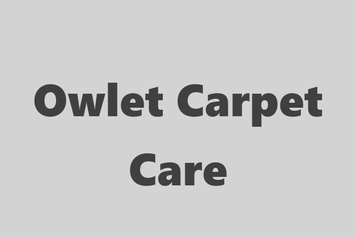 Owlet Carpet Care