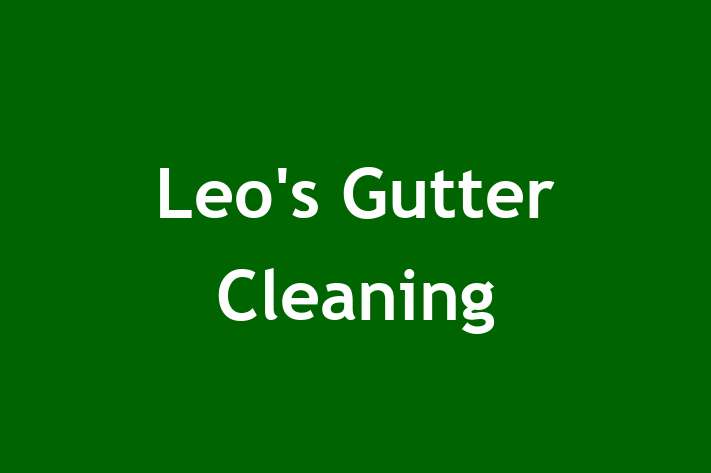 Leo's Gutter Cleaning