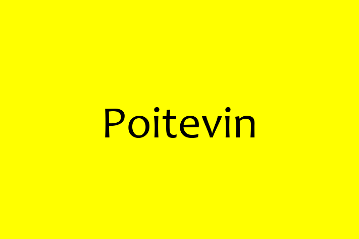 Poitevin Dog for Sale in Burton on Trent