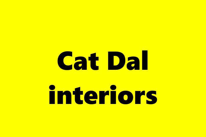 Cat Dal interiors