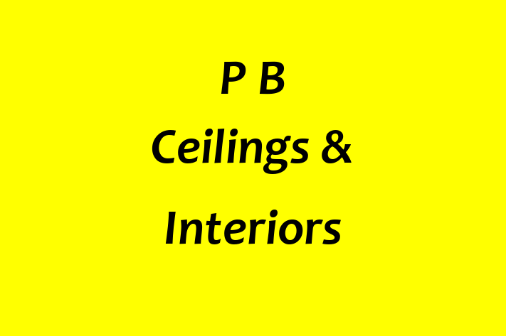 P B Ceilings & Interiors