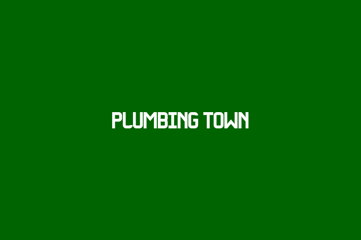 Plumbing Town