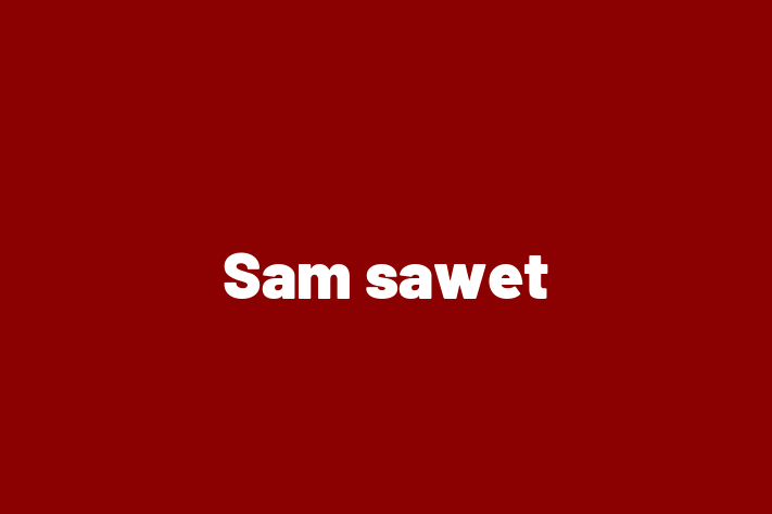 Charming Sam sawet Cat for Sale in Grimsby