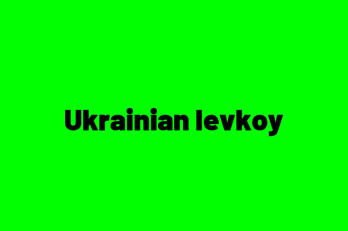 Ukrainian levkoy Cat for Sale in Rhyl