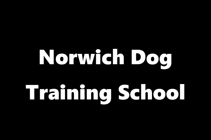 Norwich Dog Training School