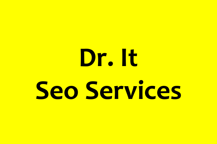 Dr It Seo Services