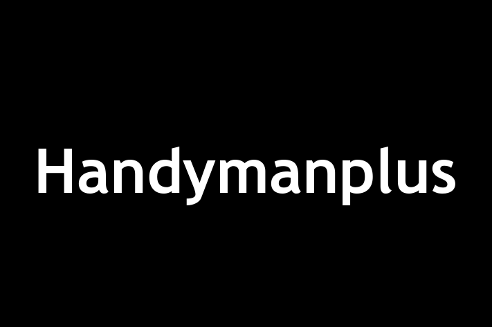 Handymanplus