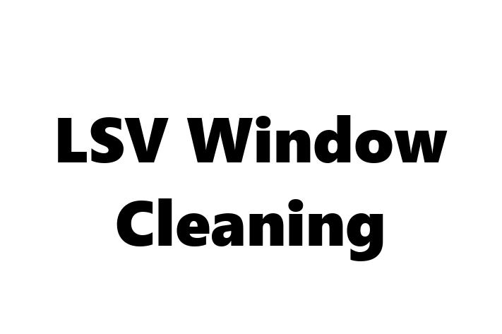 LSV Window Cleaning