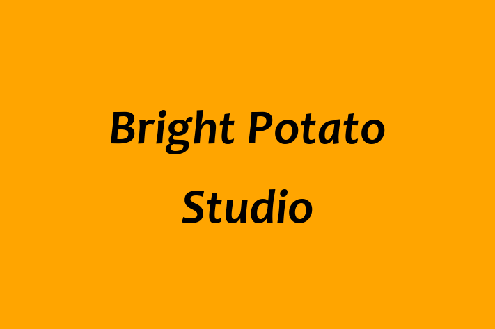 Bright Potato Studio