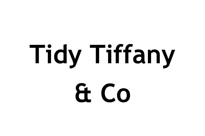 Tidy Tiffany & Co