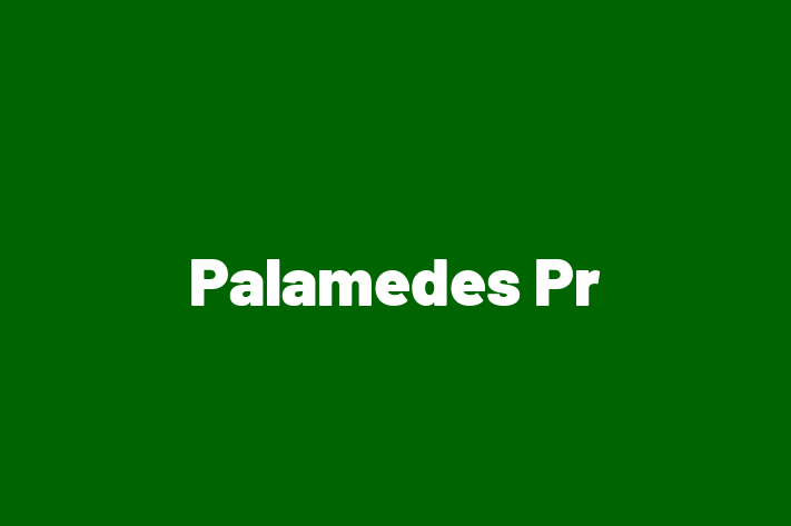 Palamedes Pr