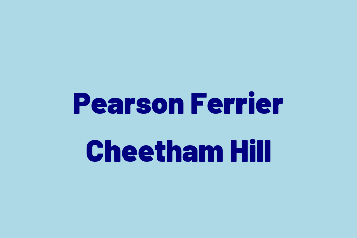 Pearson Ferrier Cheetham Hill