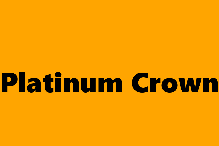 Platinum Crown