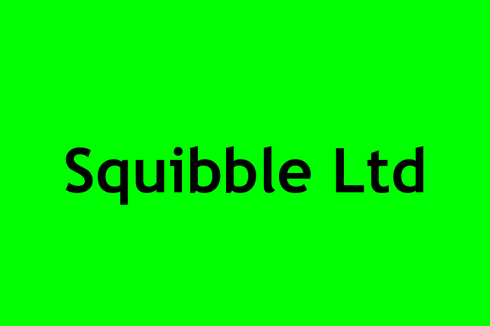 Squibble Ltd