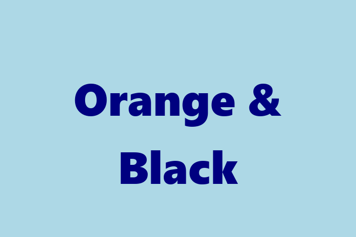 Orange & Black