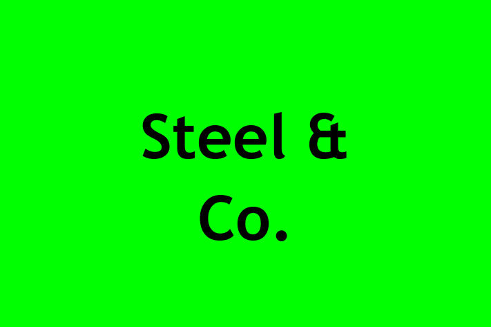 Steel & Co 