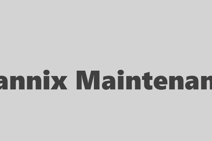 Mannix Maintenance