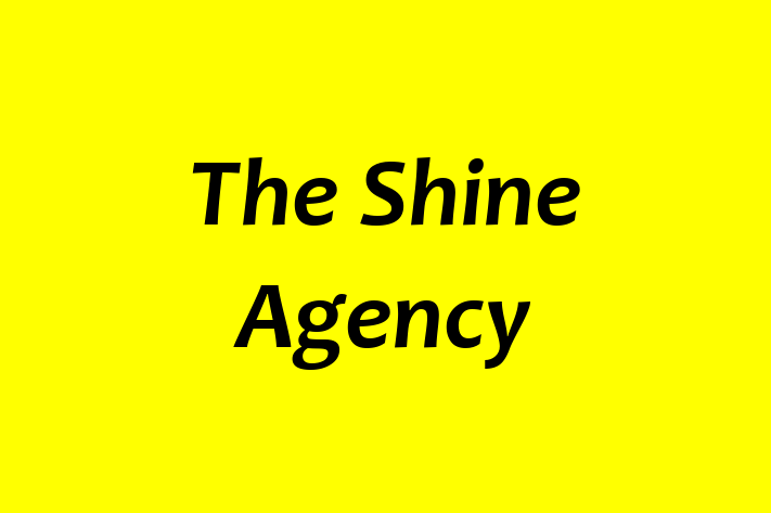 The Shine Agency