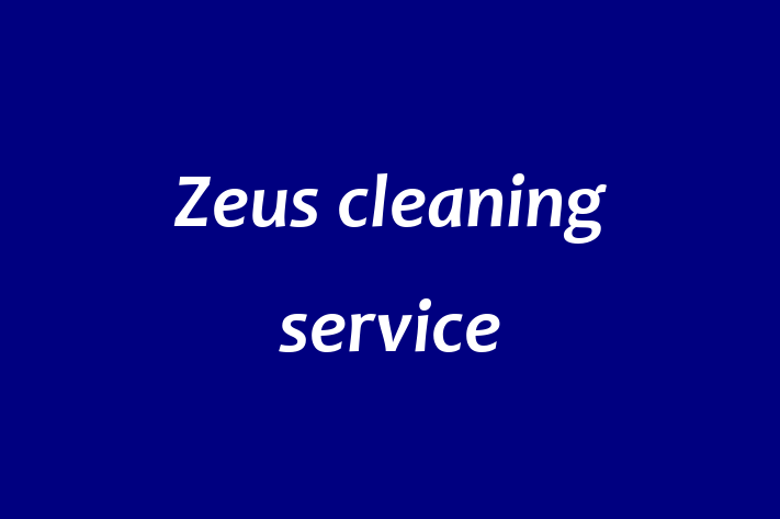 Zeus cleaning service