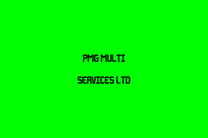 PMG Multi Services Ltd