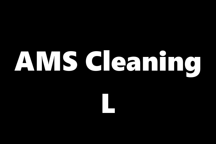 AMS Cleaning L