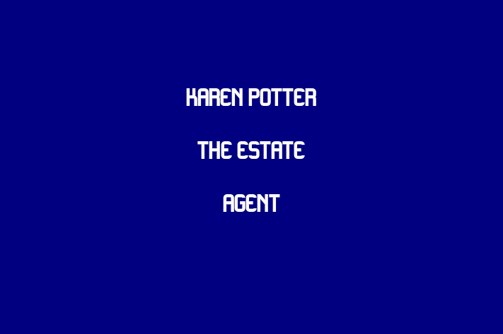 Karen Potter The Estate Agent