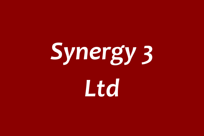 Synergy 3 Ltd