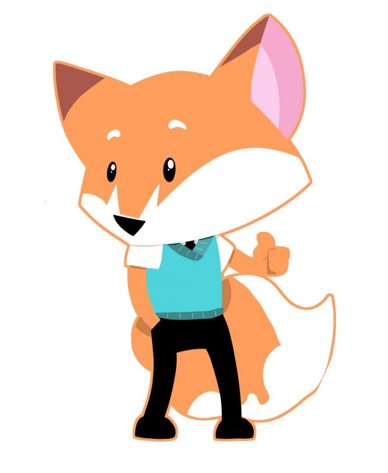 Dandy Fox Cleaning