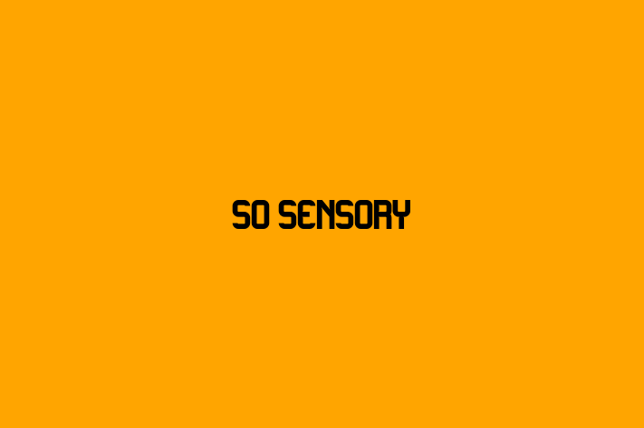 So Sensory