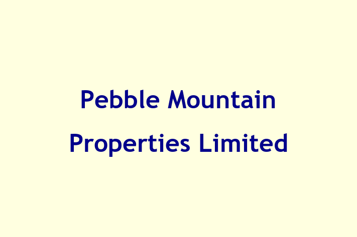 Pebble Mountain Properties Limited