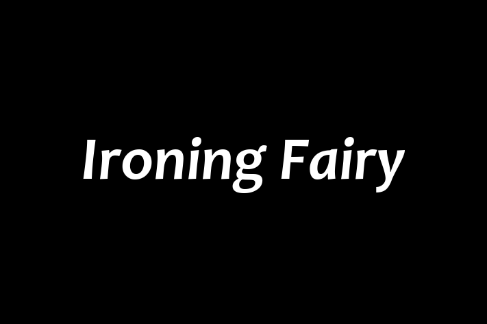 Ironing Fairy