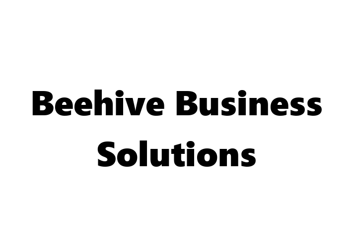 Beehive Business Solutions