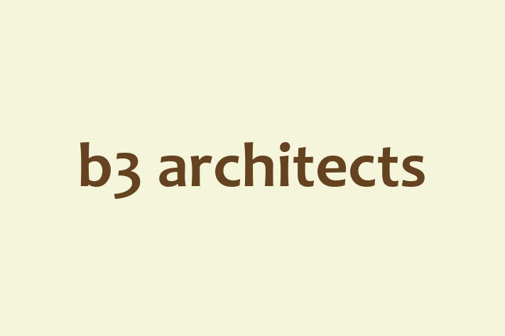 b3 architects