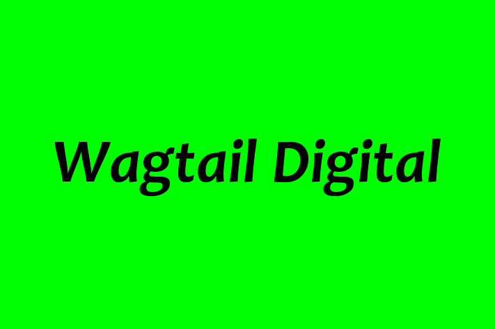 Wagtail Digital